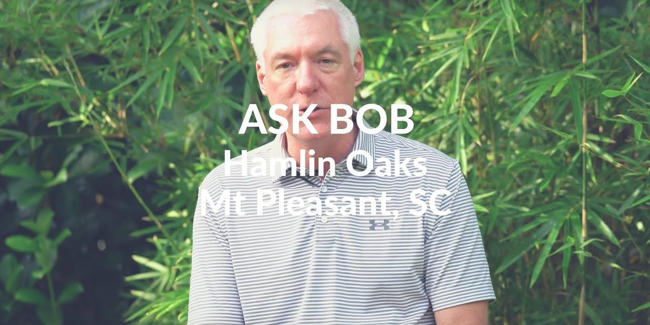 Ask Bob Hamlin Oaks Mt Pleasant Sc Charleston Videos By The